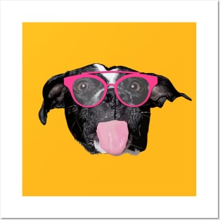 Sexy dog with pink glasses Posters and Art